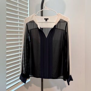 Ann Taylor Cream and Blue Long Sleeve Sheer Blouse